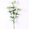 18*18*68CM?Dianthus chinensis GS-1680225-W1