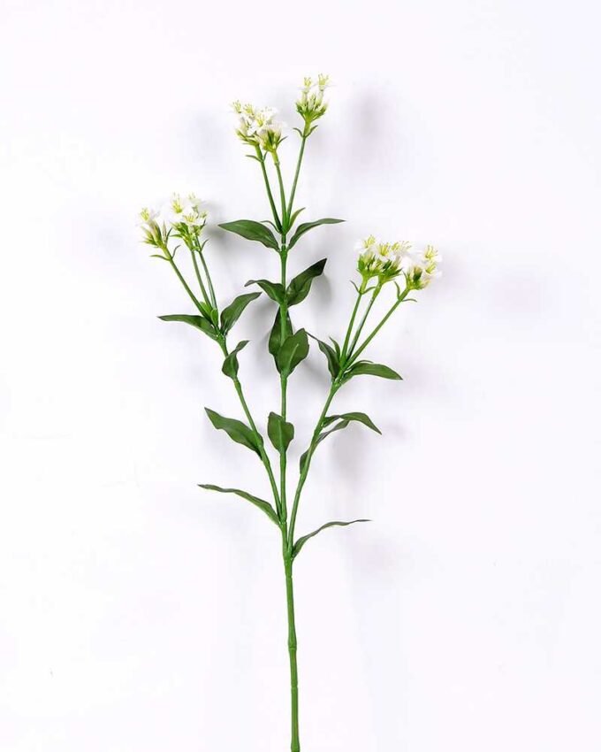 18*18*68CM?Dianthus chinensis GS-1680225-W1