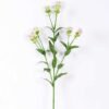 18*18*68CM?Dianthus chinensis GS-1680225-Z1 1 18*18*68CM?Dianthus chinensis GS-1680225-Z1