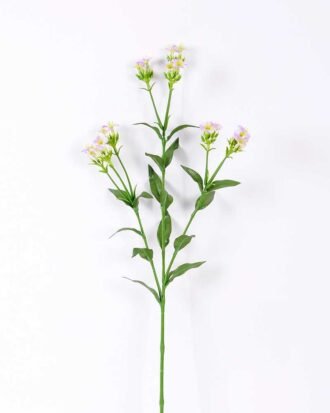 18*18*68CM?Dianthus chinensis GS-1680225-Z1