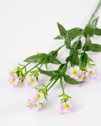 18*18*68CM?Dianthus chinensis GS-1680225-Z1