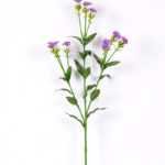 18*18*68CM?Dianthus chinensis GS-1680225-Z2
