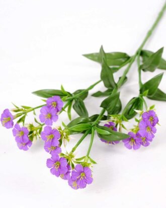 18*18*68CM?Dianthus chinensis GS-1680225-Z2