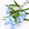30*30*82CM Ruellia? GS-1680227-B1