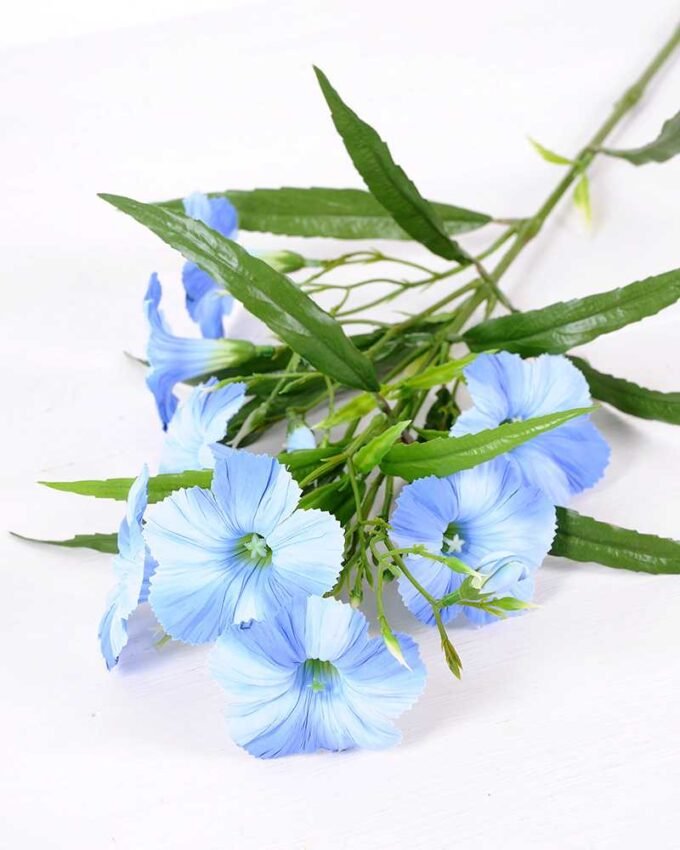 30*30*82CM Ruellia? GS-1680227-B1