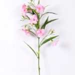 30*30*82CM Ruellia? GS-1680227-P1