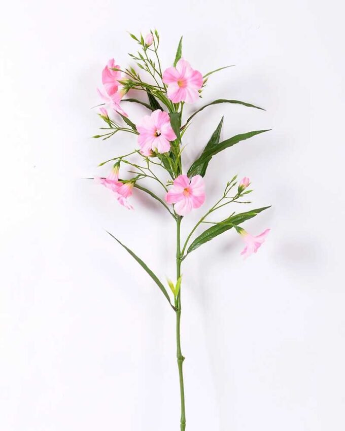 30*30*82CM Ruellia? GS-1680227-P1