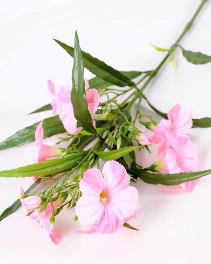 30*30*82CM Ruellia? GS-1680227-P1