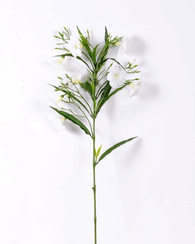 30*30*82CM Ruellia? GS-1680227-W1