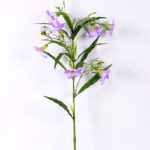 30*30*82CM Ruellia? GS-1680227-Z2