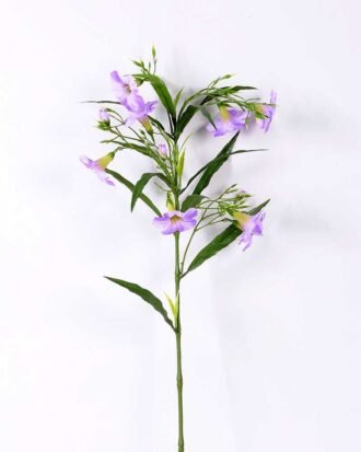 30*30*82CM Ruellia? GS-1680227-Z2