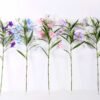 30*30*82CM Ruellia? GS-1680227-Z2