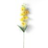 Single  orchid GS-1770032