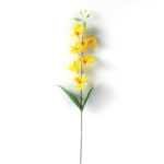 Single  orchid GS-1770032