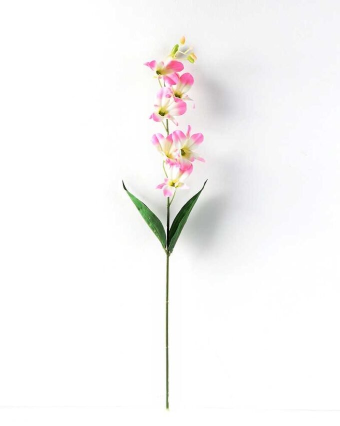 Single  orchid GS-1770032