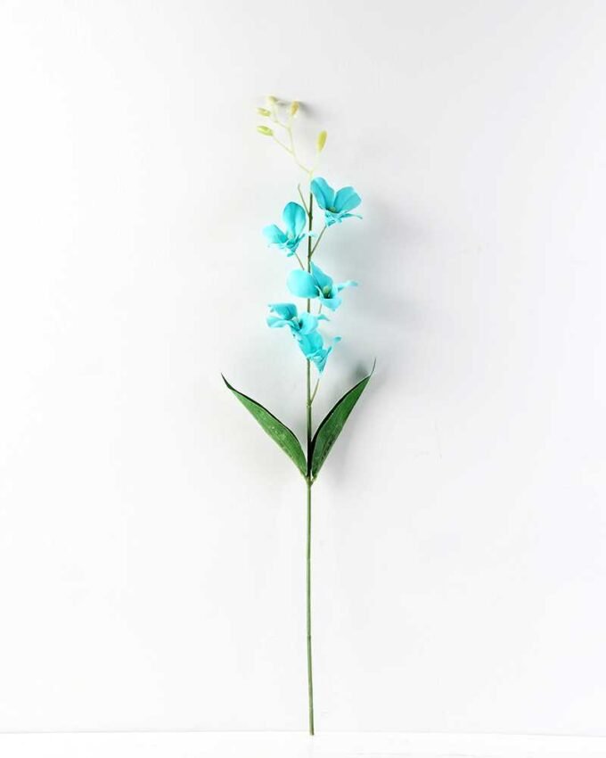 Single  orchid GS-1770032