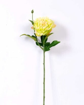 23*67cm Single branch Peony GS-1770096-G1