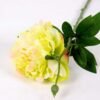 23*67cm Single branch Peony GS-1770096-G1