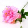 23*67cm Single branch Peony GS-1770096-P1