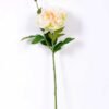 23*67cm Single branch Peony GS-1770096-W1