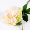 23*67cm Single branch Peony GS-1770096-W1