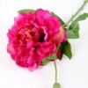 23*67cm Single branch Peony GS-1770096-Z1