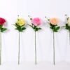 23*67cm Single branch Peony GS-1770096-Z1