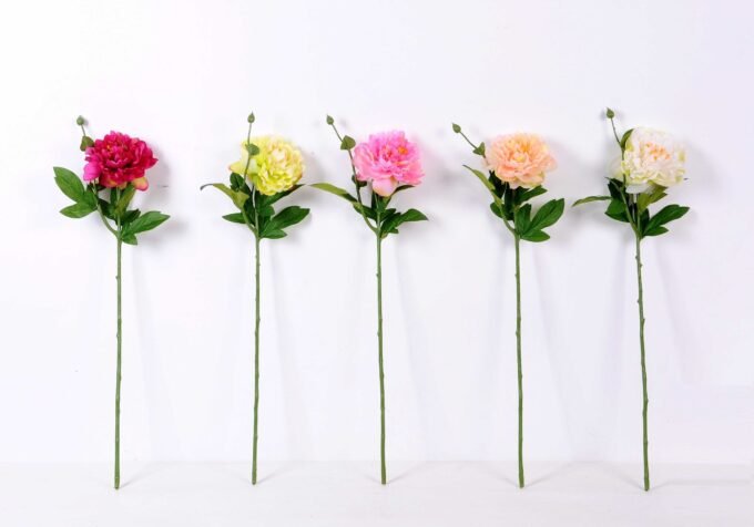 23*67cm Single branch Peony GS-1770096-Z1