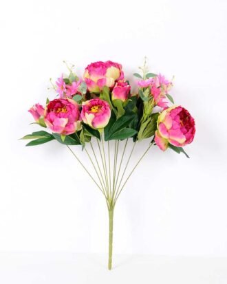 35*54ccm Peony*11 GS-1770097-Z1