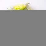23*35cm  Rose bush*7 GS-1770098-G1