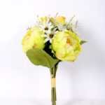 25*37cm Peon*9y GS-1770099-G1