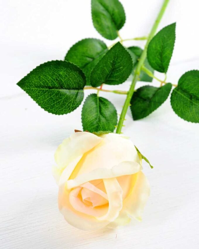 12*12*65CM Single Rose GS-1780020-C1