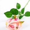 12*12*65CM Single Rose GS-1780020-P1