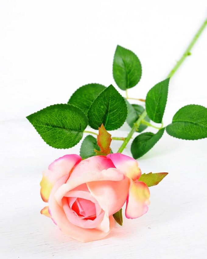 12*12*65CM Single Rose GS-1780020-P1