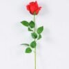 12*12*65CM Single Rose GS-1780020-R1