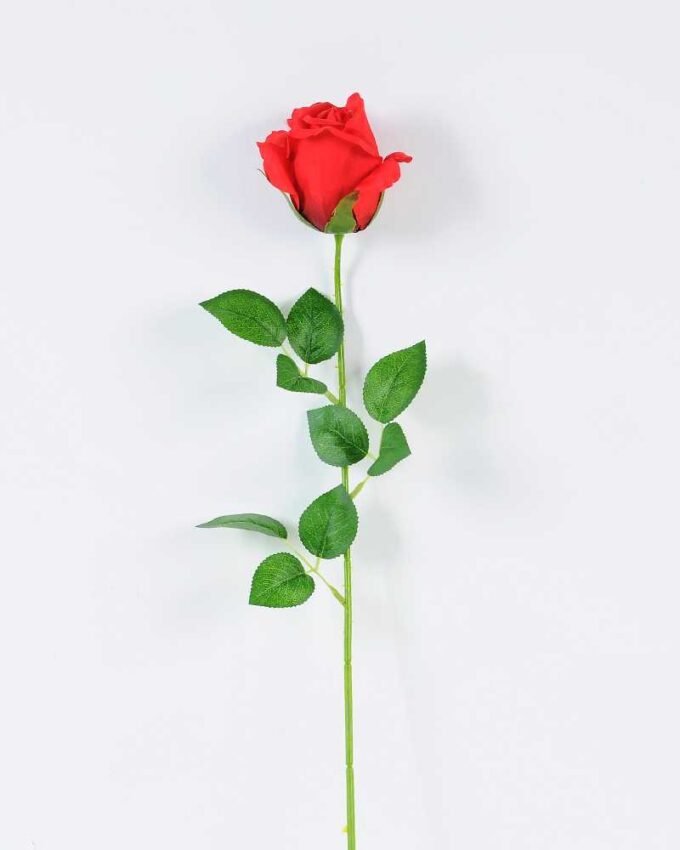 12*12*65CM Single Rose GS-1780020-R1