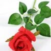 12*12*65CM Single Rose GS-1780020-R1