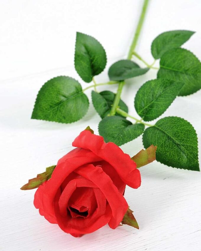 12*12*65CM Single Rose GS-1780020-R1