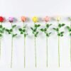 12*12*65CM Single Rose GS-1780020-R1