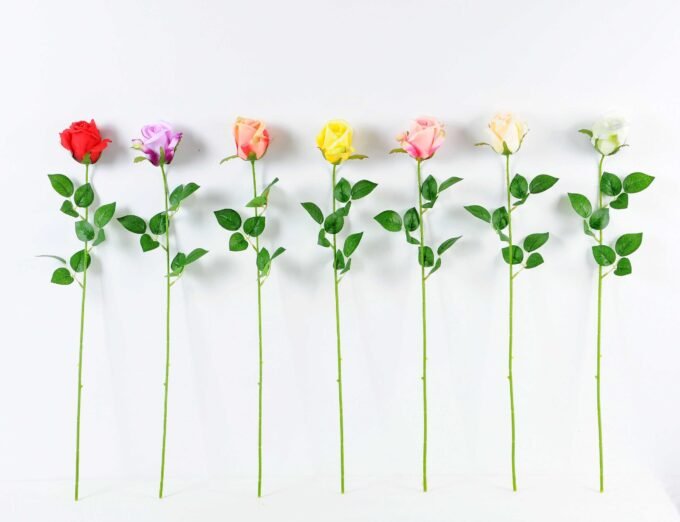 12*12*65CM Single Rose GS-1780020-R1