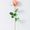 12*12*65CM Single Rose GS-1780020-R2