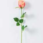 12*12*65CM Single Rose GS-1780020-R2