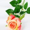12*12*65CM Single Rose GS-1780020-R2