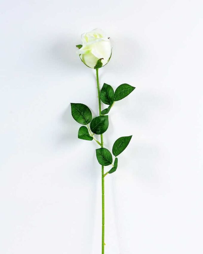12*12*65CM Single Rose GS-1780020-W1
