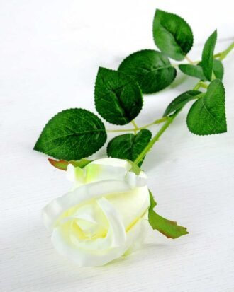 12*12*65CM Single Rose GS-1780020-W1