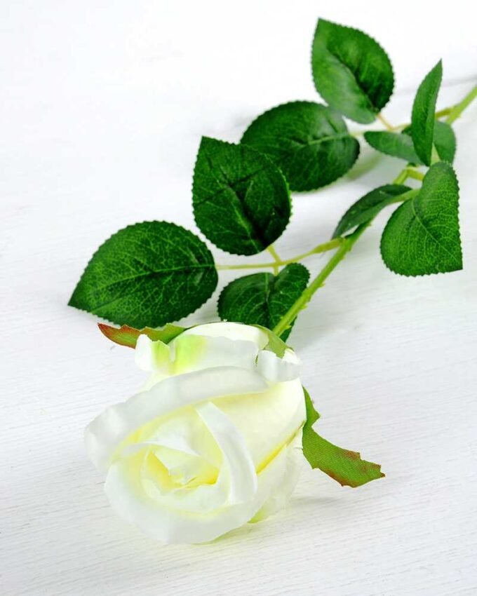 12*12*65CM Single Rose GS-1780020-W1