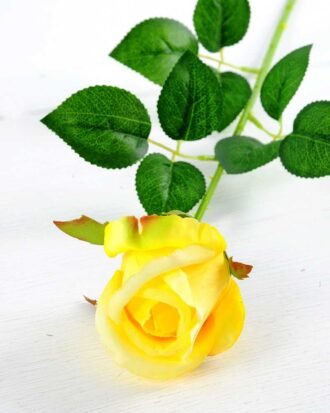 12*12*65CM Single Rose GS-1780020-Y1