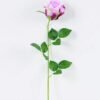 12*12*65CM Single Rose GS-1780020-Z1