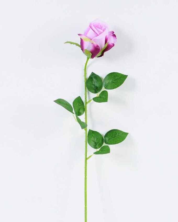 12*12*65CM Single Rose GS-1780020-Z1