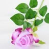 12*12*65CM Single Rose GS-1780020-Z1